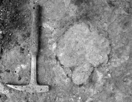 Ryc. 4.