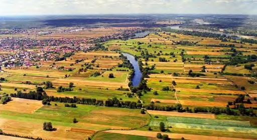 - 15 KM OD CENTRUM WARSZAWY -