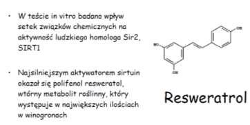 Aktywatory sirtuin RESWERATOL W badaniach in vitro i in vivo dowiedziono, że pewne polifenole, takie jak składnik czerwonego