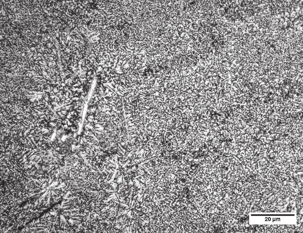 55 On the basis of the microstructural observations can be seen the structural differences between the titanium