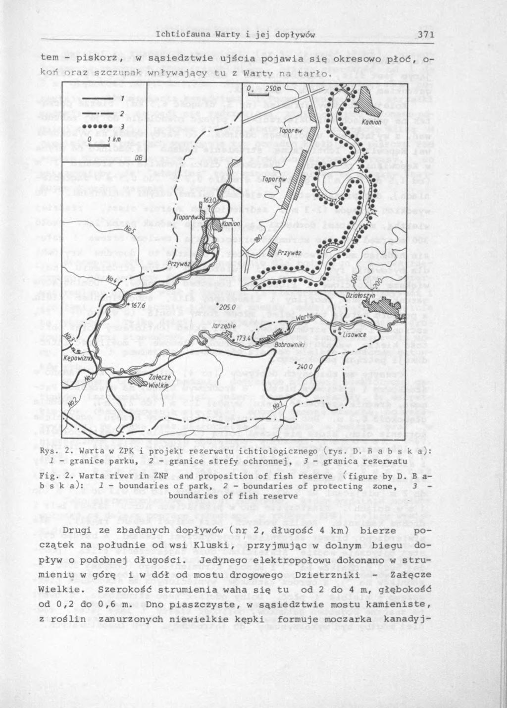 tem - piskorz, w sąsiedztwie ujścia pojawia się okresowo płoć, o- Rys. 2. Warta w ZPK i projekt rezerwatu ichtiologicznego (rys. D.