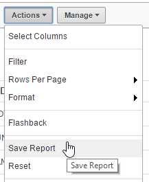 raport. W tym celu z menu Actions wybierz opcję Save Report.