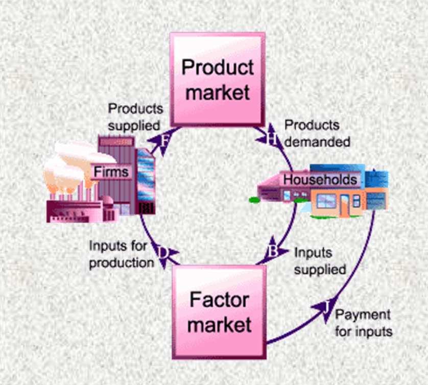 Na rynku czynników produkcji, gospodarstwa domowe dostarczają wejść do produkcji.