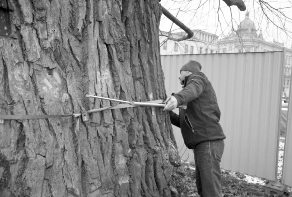 Durlak 2016) Fig. 2. CT scanner sonic located on a tree trunk (W. Durlak 2016) Kolejnym etapem jest zmierzenie geometrii pnia drzewa, którą ocenia się na poziomie pomiaru.