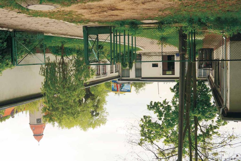 Powstanie i rozwój organizacyjny zespo³u Katedry Geomorfologii.