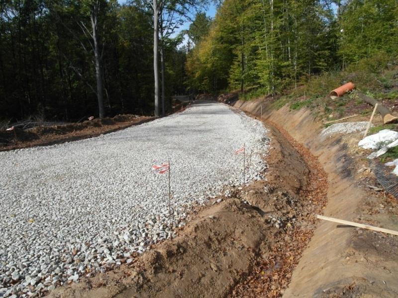 Waloryzacja geostanowiska Ekspozycja Dobrze wyeksponowany X Wymagający przygotowania Ocena Atrakcyjności Turystycznej [0-10] Ocena Atrakcyjności Dydaktycznej