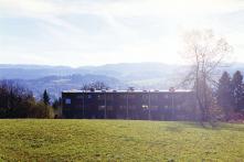 das Eigenheim