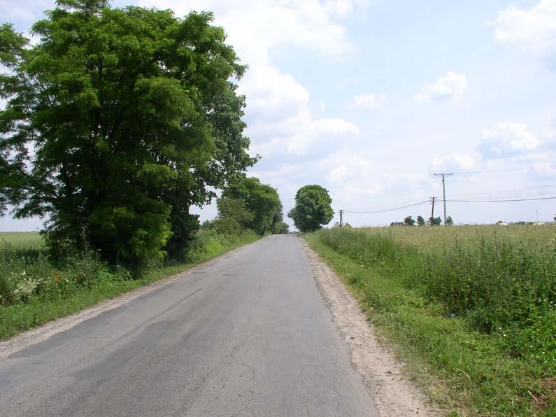 Fot. 16. Stan środowiska w lipcu 2005 r.: km 3+170, pola w Kolonii Seredzice, miejsce projektowanej obwodnicy Fot. 17.