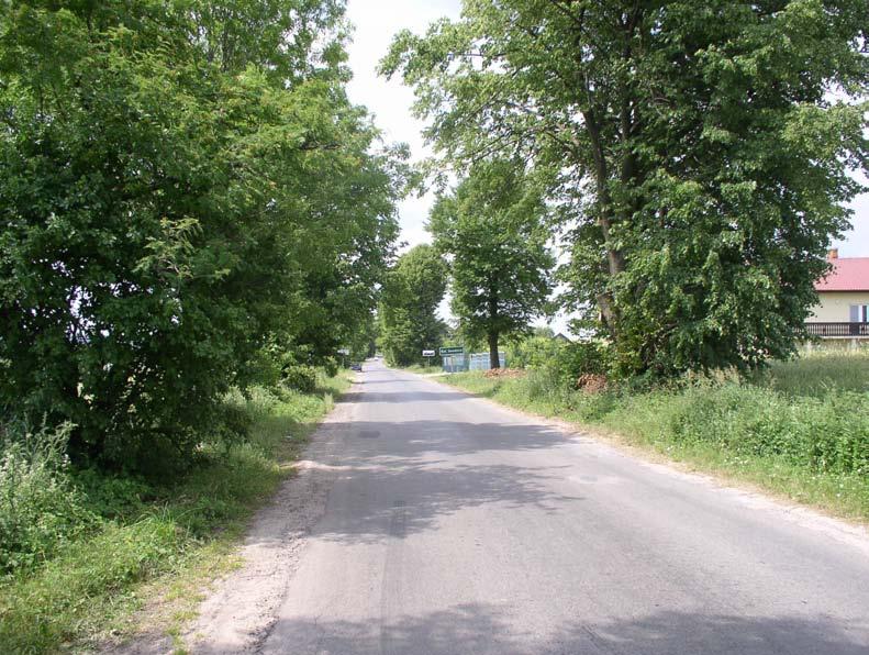 Fot. 18. Stan środowiska w lipcu 2005 r.: km 3+170, zabudowa Kolonii Seredzice przy drodze powiatowej do Seredzic, na pierwszym planie w poprzek miejsce projektowanej obwodnicy Fot. 19.