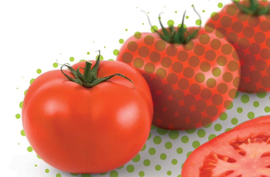 organicznych i wełnie mineralnej 160-180 g ciemnoczerwony kolor z intensywnym połyskiem