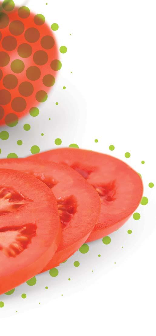 nie uszkadza owoców regularne grona mocny, rozbudowany system korzeniowy silny wigor,