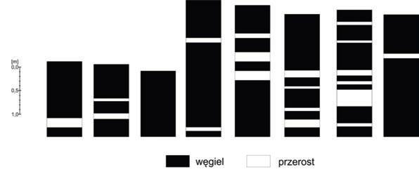 lubelskich nie budzi wątpliwości, ponieważ w stropie pokładu występuje lokalny poziom korelacyjny iłowców słodkowodnych z fauną słodkowodną.