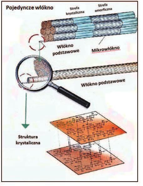 Celuloza mikrokrystaliczna Celuloza jest naturalnym, włóknistym polisacharydem, zbudowanym z cząsteczek D-glukozy (w ilości 3000-5000), połączonych wiązaniami ß-1,4-glikozydowymi.