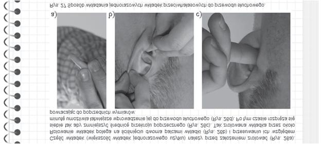 Schemat blokowy szkoleniowych ochronników s³uchu Fig. 6.