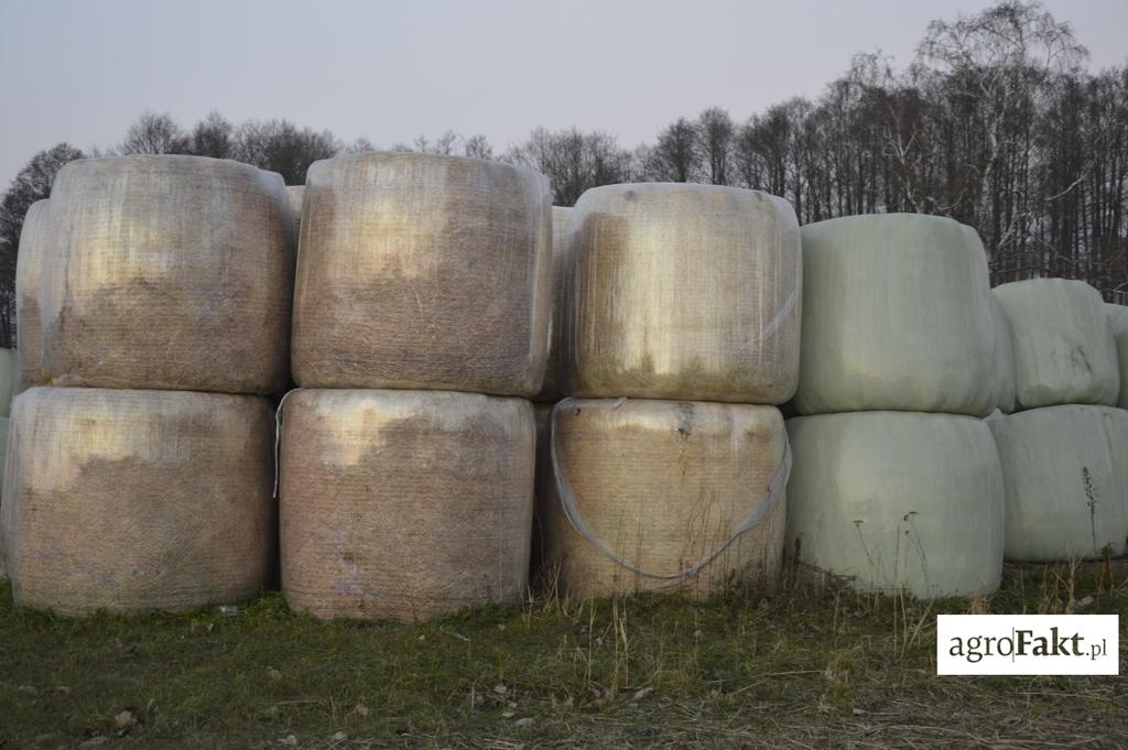 .pl https://www..pl Przezroczysta folia nie chroni sianokiszonki przed działaniem promieni UV i zwierzętami, a na mrozie pęka. Gdzie kupować folię do sianokiszonki?