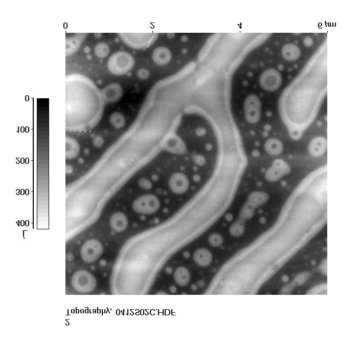 , IFUJ 0 10 0 30 40 50Å Mikroskop sił poprzecznych (Lateral Force Microscope) -LFM Ostrze jest w