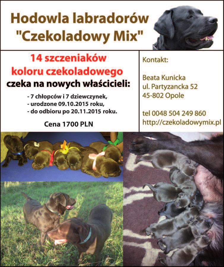 - wo dach na naj wyż szym po zio mie. Udział w sa - mym wy da rze niu to tak że nie by wa ła szan sa na wy - gra nie głów nej na gro dy w wy so ko ści 350 eu ro.