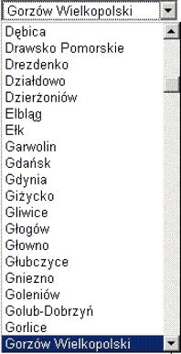 Pola Formularza: Nazwa wzorca - należy zdefiniować nazwę wzorca, aby w prosty sposób go odszukać, np.