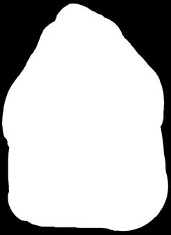 szynki, 500 g