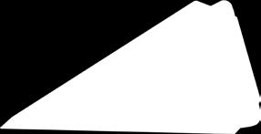 19 24 99 kg Szynka