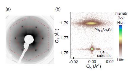 Polley, P. Dziawa et al.