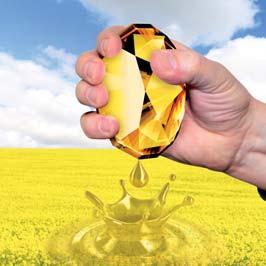 Plonowanie odmiany QUARTZ w doświadczeniach KWS Agroservice z wybranych lokalizacji w sezonie 2012/2013 QUARTZ Wyciśniesz więcej najwyżej plonująca odmiana populacyjna spośród zarejestrowanych w KR