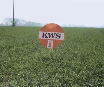 Analiza warunków pogodowych i krótkie omówienie wyników doświadczeń łanowych. Siew większości doświadczeń łanowych KWS Agroservice odbył się w okresie od połowy sierpnia do 5 września 2012.