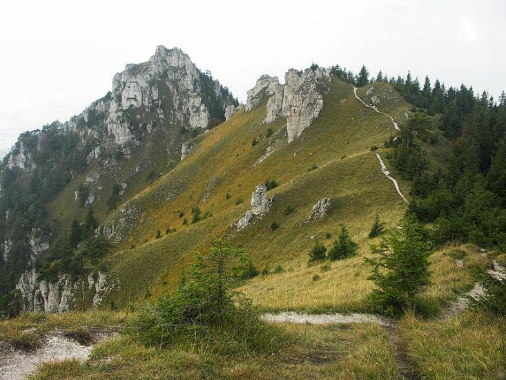 Tlstá