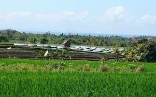 W zależności od godziny przylotu dzień spędzimy na relaksie i aklimatyzacji. Dzień 3 UBUD tradycja, religia, kultura Rano po śniadaniu wyruszymy na całodzienne zwiedzanie okolic.