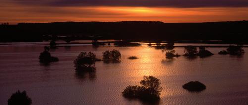 Gandrīz visu Vislas posmu, kas tek caur Ļubļinas reģionu, aptver Natura2000 tīkls.