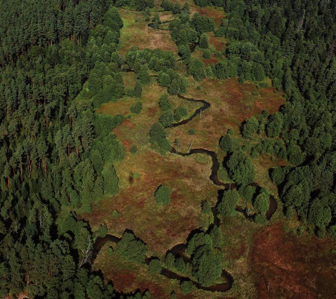 Vairāk par Natura 2000 tīklu Ļubļinas reģionā: www.natura2000.lubelskie.