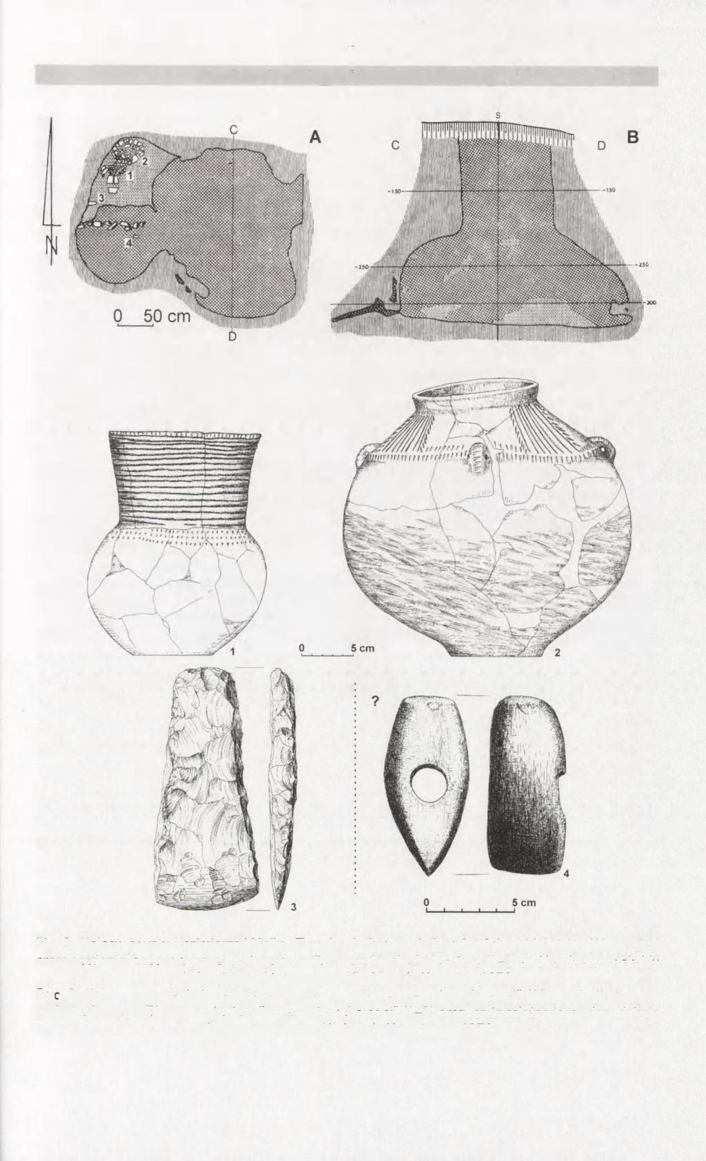 Absolute chronology of the tumulus in Kolosy 155 Fig. 3. Kolosy, county Kazimierza Wielka. Tumulus 1, feature 4.