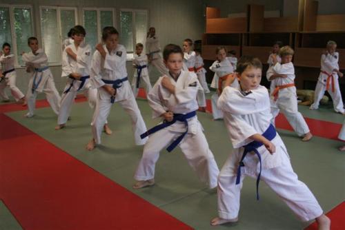 Dla wielu praktyków, karate jest głębią