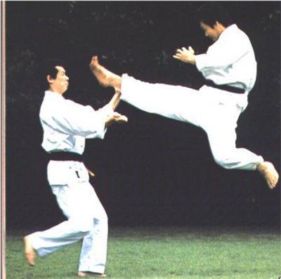 Karate uczy zasad etycznych i duchowych może mieć