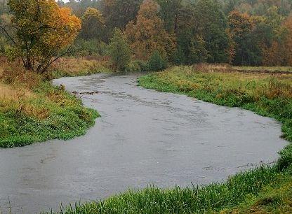 15 Fot. 3.1. Meandry rzeki Łyny. Źródło: http://opennetopennet.blogspot.com/2011/09/document.
