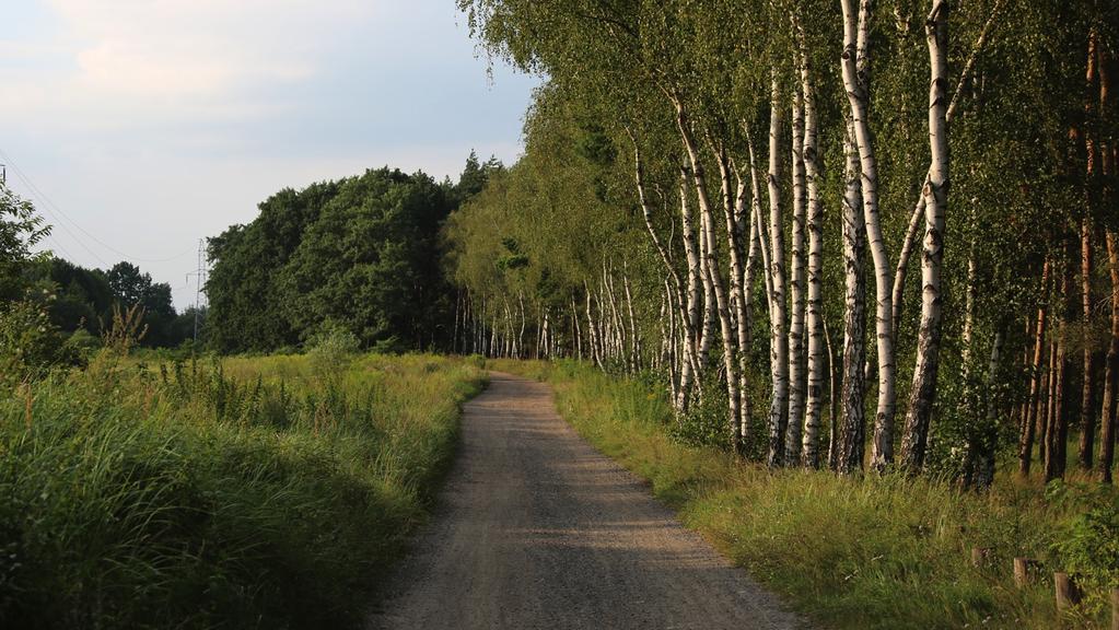 czas wolny Pozostawcie Państwo stres i troski dnia codziennego za sobą.