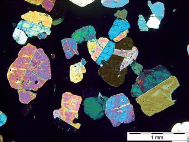 determination of a common complex of