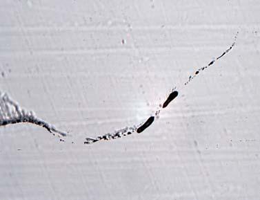 white-greyish colour, lack of clay