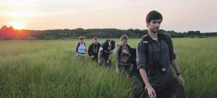 Newsletter Projektu LIFE+ Nr 4 / Październik 04 Ochrona wodniczki w Polsce Wschodniej Ochrona wodniczki w Polsce Wschodniej Newsletter Projektu LIFE+ Nr 4 / Październik 04 3 Monitoring wodniczki