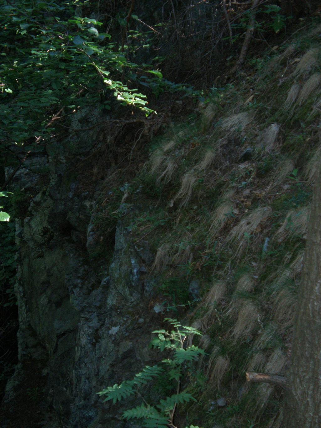 2006. W marcu 2007 zgłoszona została do KE propozycja utworzenie obszaru Ostoja Nietoperzy Gór Sowich (PLH 020071), w której granica częściowo pokrywa się z wcześniej wymienionym obszarem Kamionki,