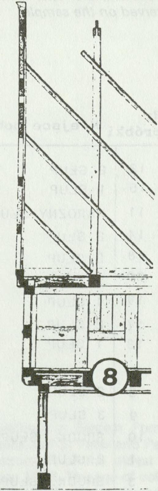 (Kloeppel 1924)