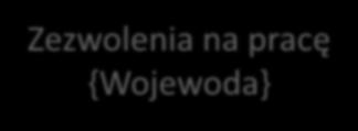 Formy legalnego zatrudniania Zezwolenia na pracę