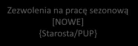 {Starosta/PUP} Oświadczenia o powierzeniu pracy