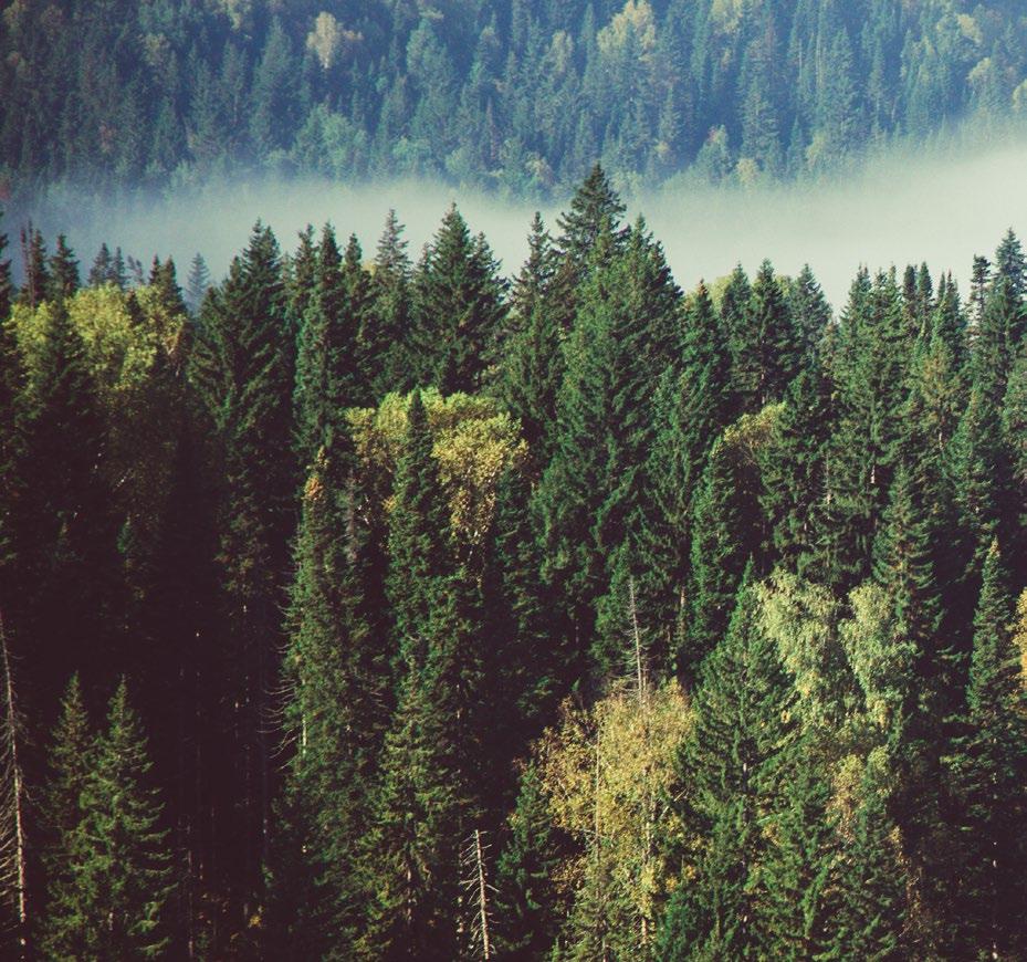 FOREST STEWARDSHIP COUNCIL Posiadanie certyfikatu FSC jest potwierdzeniem, że zaopatrujemy się w drewno pochodzące z prawidłowo zarządzanych lasów, posiadających certyfikat FSC.