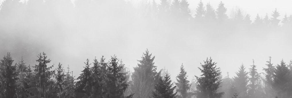 A.0 PROPONOWANE OŚCIEŻNICE BEZPRZYLGOWE prze- -krój zakres regulacji drewno dąb woskowany, malowany transparentnie lub wg palety RAL Ceny dotyczą skrzydeł z kolekcji Grand drewnianych, bezprzylgowych