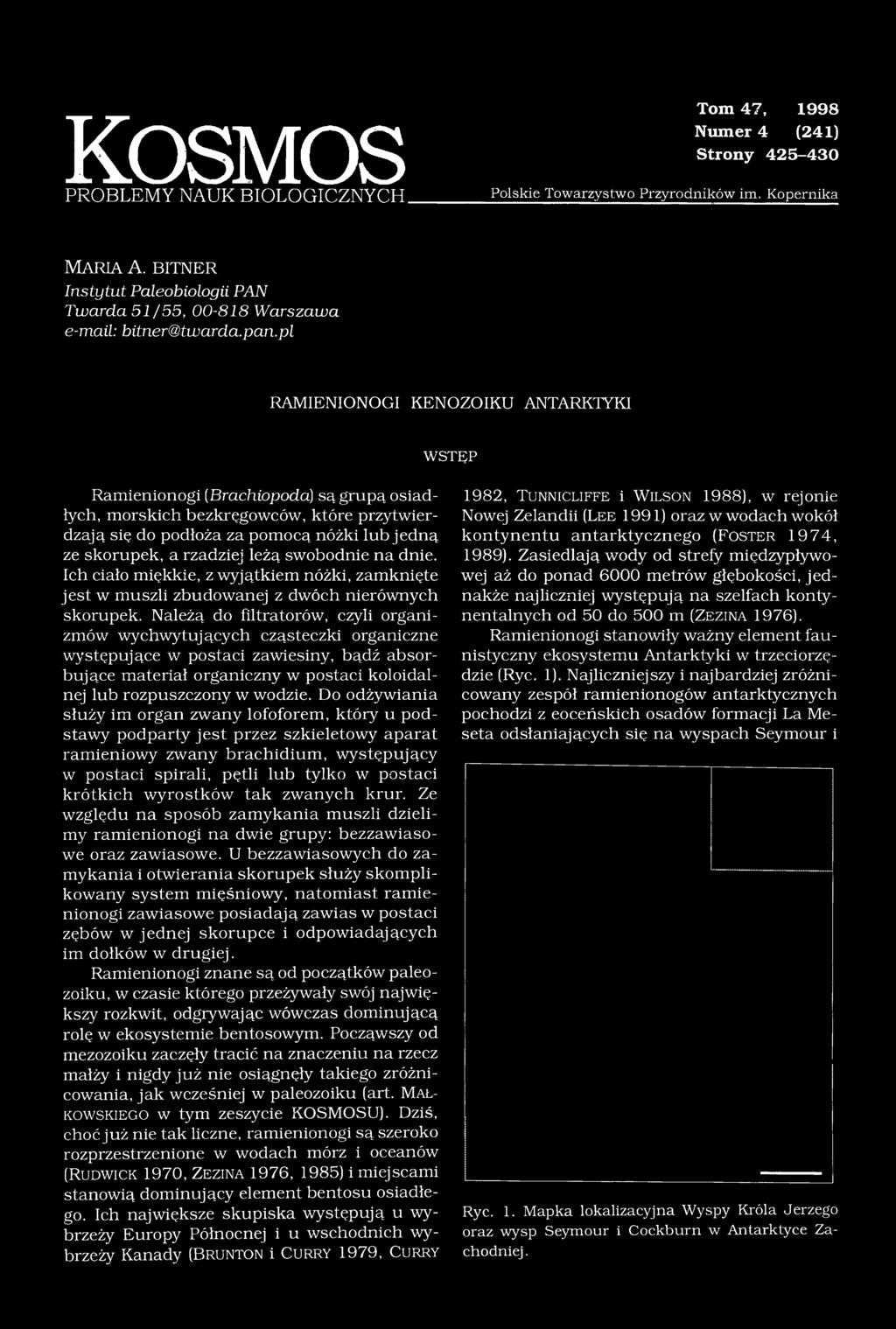 pl RAMIENIONOGI KENOZOIKU ANTARKTYKI WSTĘP Ramienionogi (Brachiopoda) są grupą osiadłych, morskich bezkręgowców, które przytwierdzają się do podłoża za pomocą nóżki lub jedną ze skorupek, a rzadziej