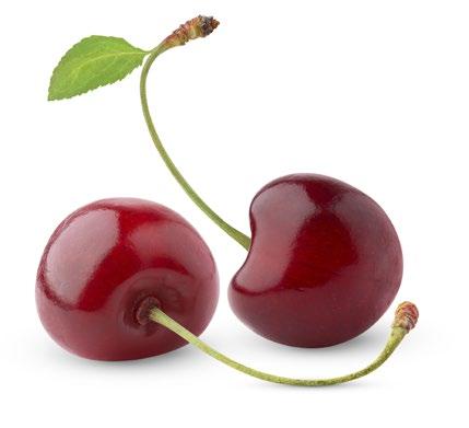 pomarańczowa 6306 karton 10 Mieszanka