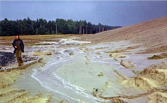 Sprinkling of sewage sludge mixed with grass seeds Fot. 7.