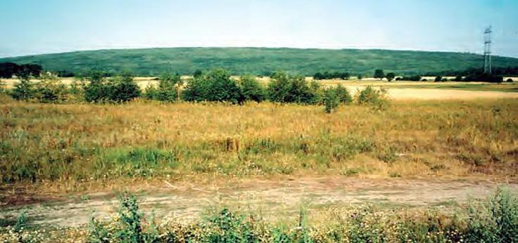 Aircraft of an aviation company with the equipment for hydroseeding with sewage sludge, view from the spoil tip s surface strengthened with