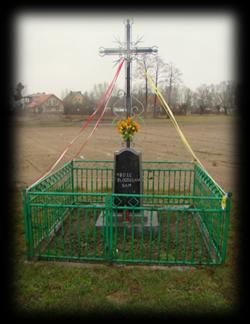 Liczba ludności w latach 2008 i 2014 Stan na 31.12. Liczba ludności 2008 r. 365 2014 r. 399 Miejscowość Drężewo położona jest w bezpośrednim sąsiedztwie z miastem Ostrołęka.